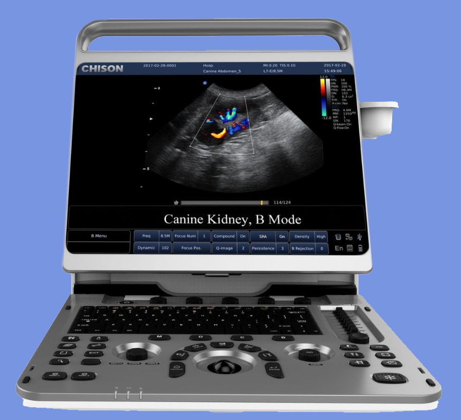 Ebit30 vet kidney